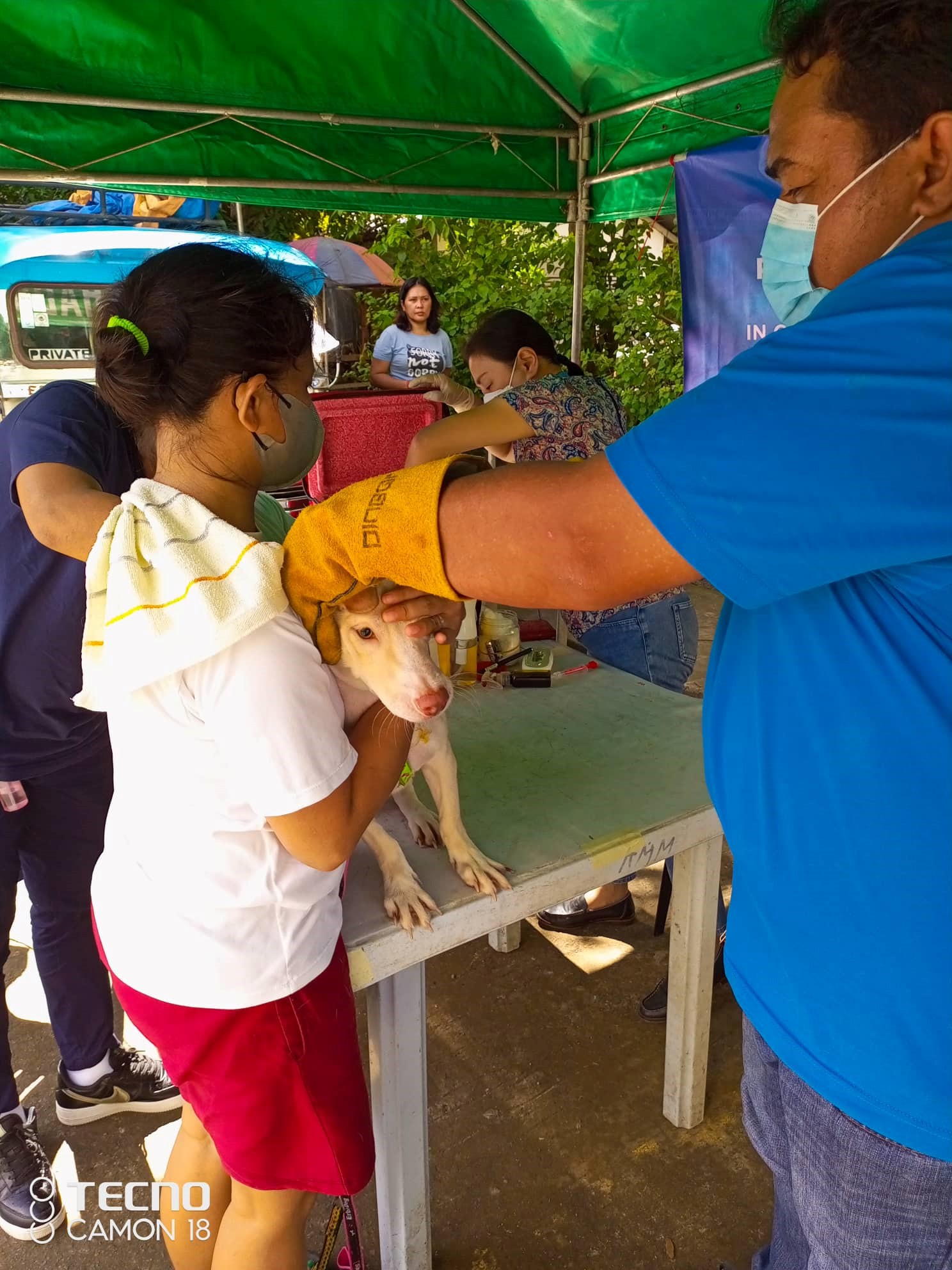 Free Anti Rabies Pasig LGU holds free anti-rabies vaccination and microchipping for LRB ...
